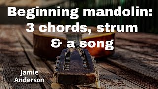 Mandolin for beginners [upl. by Selden39]