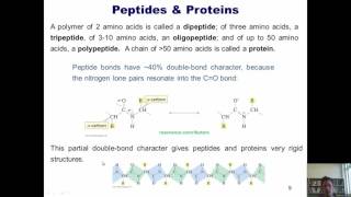 Chapter 23 – Protein Chemistry Part 7 of 10 [upl. by Areht]