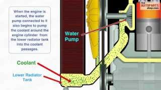 How Car Cooling System Works [upl. by Adiela]