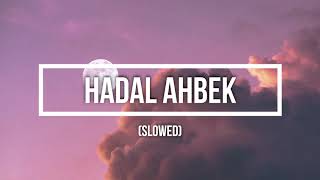 Hadal Ahbek Slowed  Issam Alnajjar  Rapa paparapa [upl. by Wehttan887]