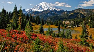 Discover Mt Rainier National Park from Seattle Washington [upl. by Junji900]