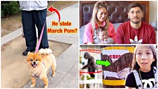 WE BELIEVE SOMEONE STOLE OUR PUPPY MARCH POM Part 2 [upl. by Aimee]