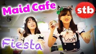 Maidreamin Maid Cafe FIESTA in Akihabara Tokyo Japan featuring Wheres Stu [upl. by Islek]