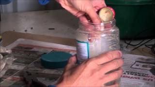 Making European Wasp Trap that destroys nest [upl. by Aerol429]