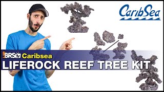 CaribSea Reef Tree Kit Review What is it How to use it Is it the aquascape your reef tank wants [upl. by Lacombe]