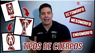 Tipos de cuerpos  ¿Cómo entrenarlos  ECTOMORFO MESOMORFO ENDOMORFO [upl. by Priestley]