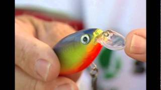 Rapala® XRap® Shad Shallow [upl. by Aicirtac]