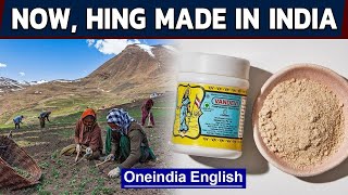 Hing or asafoetida to be grown in India  Indian spices  Oneindia News [upl. by Aseek694]