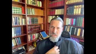 6 Fr Josiah Trenham  Why should a Protestant consider the Orthodox Church [upl. by Alemaj668]