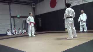 Karate Class Sparring 02012014 [upl. by Handy405]