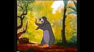 LYRICS The Bare Necessities  balu the bear  The Jungle Book  1967  Walt Disney songs [upl. by Mckenzie]