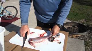 How To Clean And Filet A Trout [upl. by Heins]