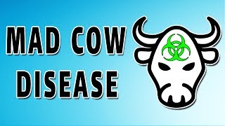 Mad Cow Disease Prion Disease [upl. by Sells]