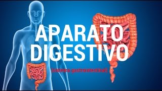 Aparato digestivo sistema gastrointestinal [upl. by Kirenoj106]