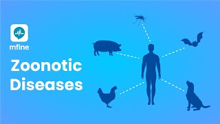 Zoonotic Diseases  Diseases that are Passed from Animals to Humans  MFine [upl. by Dacie]