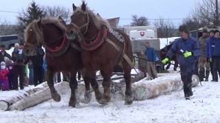 Furmanské preteky Hričovské Podhradie 2017 [upl. by Jr805]