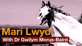 Mari Lwyd  The Welsh Sources and Meaning [upl. by Normi]