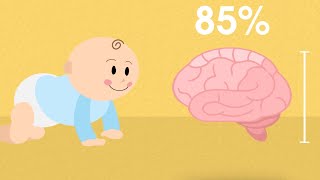 How DHA Benefits Your Child’s Brain Growth  What is DHA  Enfamil A Canada [upl. by Yelruc]