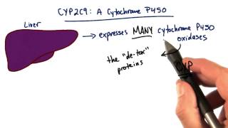 Cytochrome P450  Tales from the Genome [upl. by Ehttam]