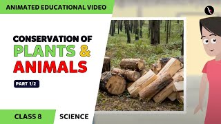 Conservation Of Plants And Animals  Part 12  Class 8 Science Chapter 7  TicTacLearn English [upl. by Arze]