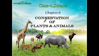 Class 8 Science Chapter 7 Conservation of Plants and Animals [upl. by Rois]