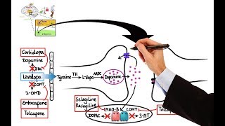 Pharmacology  DRUGS FOR PARKINSONS DISEASE MADE EASY [upl. by Chirlin]