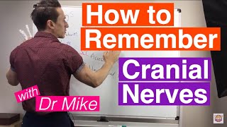 Neurology  Oculomotor Nerve Cranial Nerve III [upl. by Jenkel]