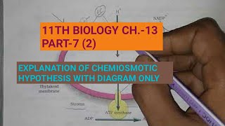 Class 11 BiologyCh13 Part72Chemiosmotic hypothesisStudy with Farru [upl. by Alten]