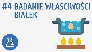 Badanie właściwości białek 4  Biologiczne związki organiczne [upl. by Gesner]