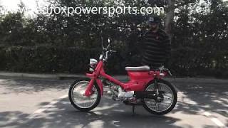 Redfoxpowersports review 50cc RTX Scooter Moped [upl. by Sibell190]