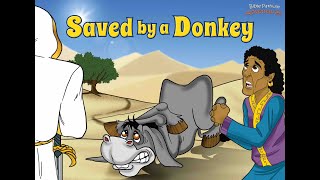 Saved By A Donkey  The Adventures of Balaam [upl. by Ellehcsor]