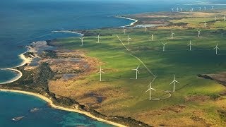 Musselroe Wind Farm  The Full Story [upl. by Wilkey]