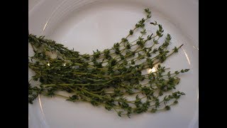 Thyme 101How to Freeze Thyme [upl. by Ferwerda]