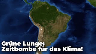 AmazonasRegenwald – eine tickende Zeitbombe für das Klima [upl. by Aisa372]