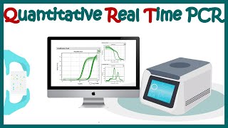 Quantitative real time PCR qPCR [upl. by Pavia]