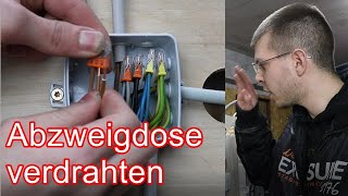 Abzweigdose verdrahten ElektroM [upl. by Bille]