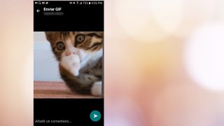 Cómo adjuntar GIFS en WhatsApp  ENTERCO [upl. by Griselda]