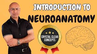 Intro to Neuroanatomy  Neurophysiology  Neuroscience  Central Nervous System [upl. by Carling]