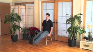 Mindful Chair Yoga A Complete Beginners Practice 40 minutes [upl. by Stochmal]