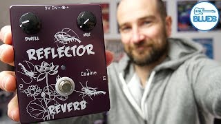 AWESOME Budget REVERB DELAY  Caline CP80 Ragnarok  VIDEO REVIEW NO TALK [upl. by Thgiwd409]