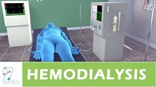 Hemodialysis [upl. by Piks]