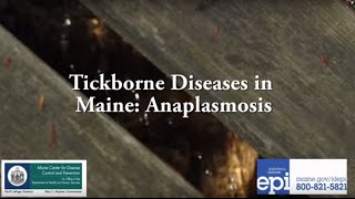 Tickborne Diseases in Maine Anaplasmosis [upl. by Antonino]