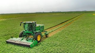 SelfPropelled W260 Swathing Alfalfa [upl. by Avot]