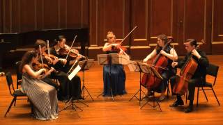 Arnold Schoenberg  Transfigured Night for String Sextet Op 4 [upl. by Frayda]