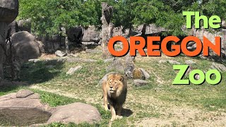 The Oregon Zoo  Portland OR [upl. by Zuliram]