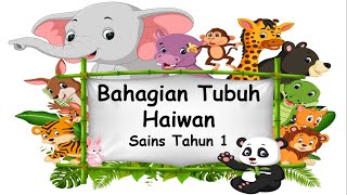 Bahagian Tubuh Haiwan  Sains Tahun 1 [upl. by Mosra]