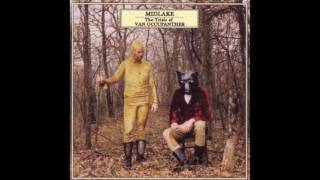 Midlake  Van Occupanther HD [upl. by Anairt128]