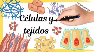 CÉLULAS y TEJIDOS [upl. by Cirad]