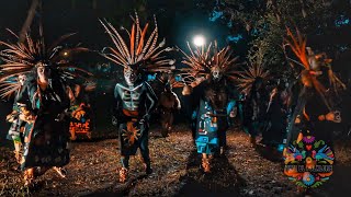 Mexican Folk Dance Aztec dance  Representación de Danza prehispánica azteca en Día de Muertos  4K [upl. by Damalis]