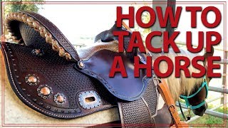 How to Saddle a Horse Western Style  Jeffers Equine [upl. by Retsim]